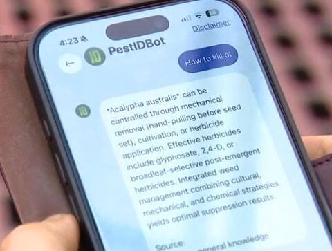 Iowa State develops AI tool to help farmers identify and remove pests