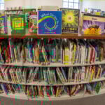 From book bans to basement makeovers: 10 win I Love My Librarian Award for making a difference