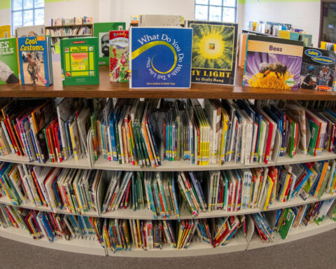 From book bans to basement makeovers: 10 win I Love My Librarian Award for making a difference