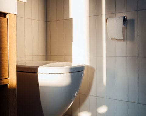 The 3 Ps of pooping and how to optimize them, according to a Harvard doc