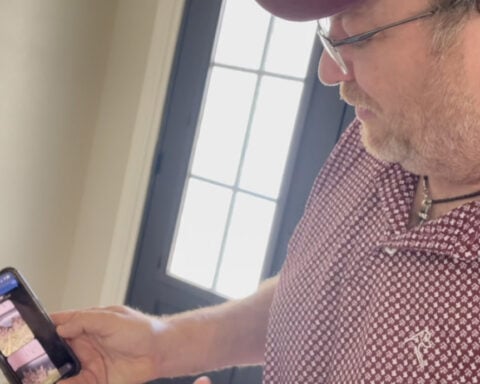 RobCo Wildlife Rescue gives injured backyard bunnies a second chance