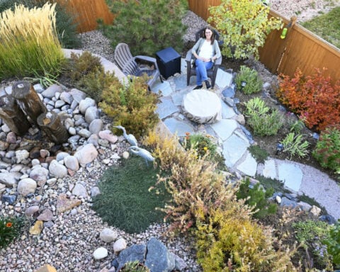 Water conservation works, but climate change is outpacing it: Phoenix, Denver and Las Vegas offer a glimpse of the future