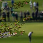 Masters in bloom: More than azaleas and dogwood make up golf's most beautiful garden