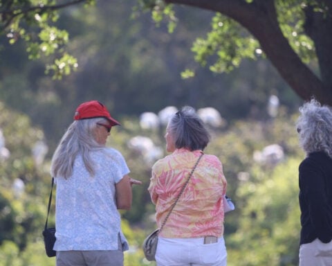 Bird Brain: New study finds birdwatching may boost brain health and slow cognitive aging