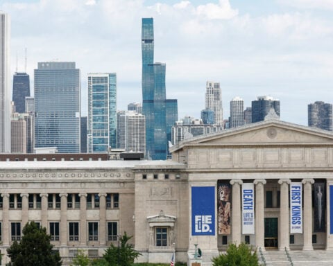 The world's oldest octopus fossil isn't an octopus after all, scientists say