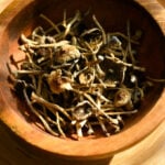 Psilocybin mushrooms are going mainstream, but scientific research and regulation lag behind