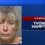 Driver of school bus clipped by train facing 29 counts of child neglect charges