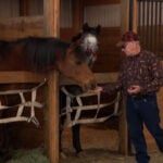 Horse reunited with owner after being rescued from flooded creek