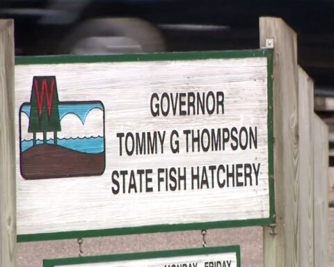 Spooner, Wisconsin is home to one of the largest musky hatcheries in the world