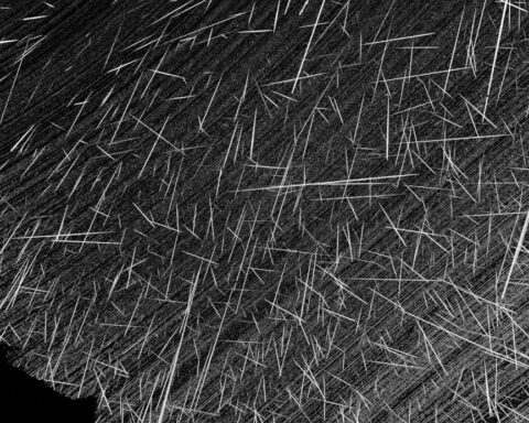 I found a new meteor shower, and it comes from an asteroid getting broken down by the Sun