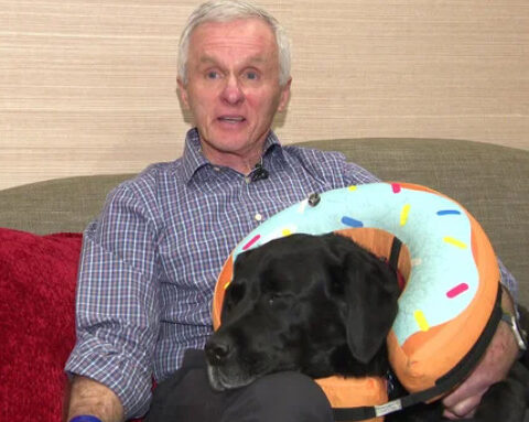 DPW workers armed with rake and broom save man and his dog from Rottweiler attack: "They were true heroes"