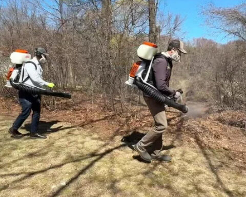 Alpha-gal syndrome from Lone Star tick bites "an emerging public health concern in Massachusetts"