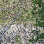 Fence installed at prison cliff after inmate's fatal fall