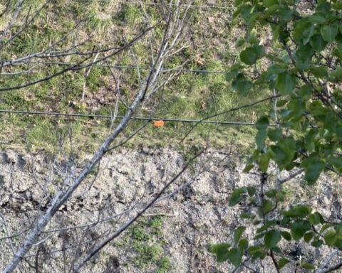 Fence installed at prison cliff after inmate's fatal fall