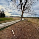 Police searching for help to identify injured woman struck by lightning