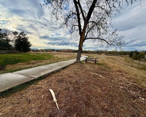 Police searching for help to identify injured woman struck by lightning