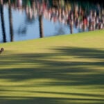 Masters winner is set to make $4.5 million out of a majors-record $22.5 million prize purse