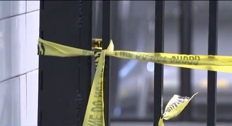 Man with machete fatally shot at NYC's Grand Central after slashing attack, NYPD says