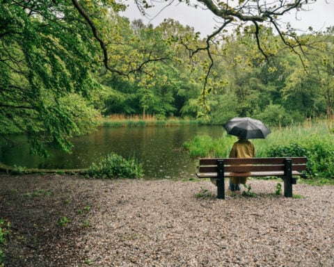 ‘Bouncing back’ is a myth – resilience means integrating hard experiences into your life story, not ignoring them