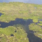 Experts discuss health risks of harmful algal blooms in Southwest Florida