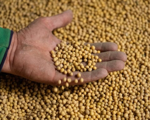 Takeaways from AP and Lee's report on how soybean farmers were impacted by tariffs, Iran war