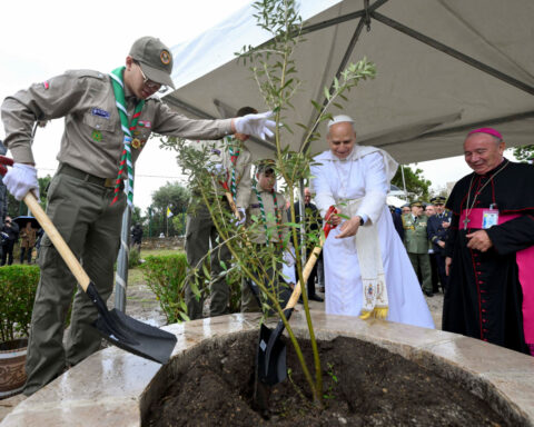 Pope Leo issues warning on democracy after Trump criticism