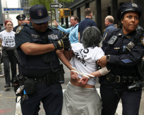 Dozens detained in New York City protest over US arms sales to Israel