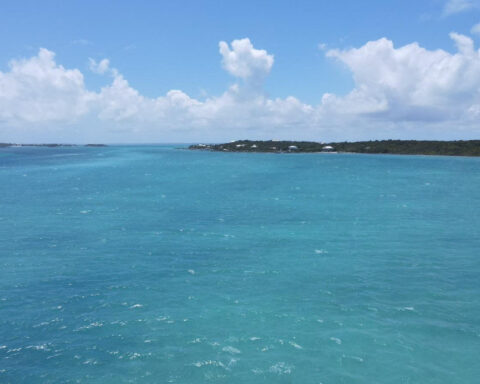 Bahamas police release Michigan man after his wife vanishes at sea