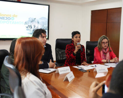 Colombia to control hippo population through euthanasia