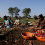 India's inflation rises modestly in March, but Mideast war risks loom