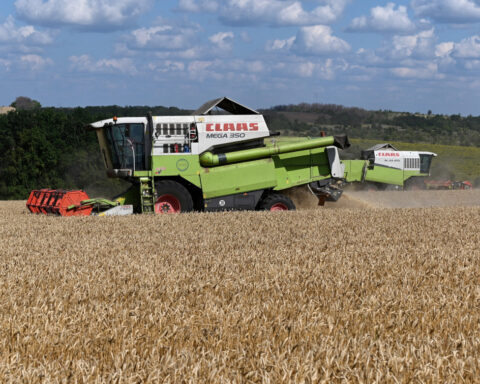 Russia calls for joint food reserves with BRICS to counter Middle East crisis risks