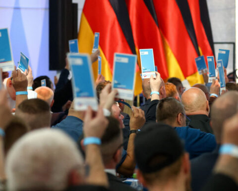 ‘Remigration’ and Russian lessons: German far-right party promises radical measures if elected