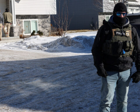 ICE launches new effort to uncover US ‘birth tourism schemes’