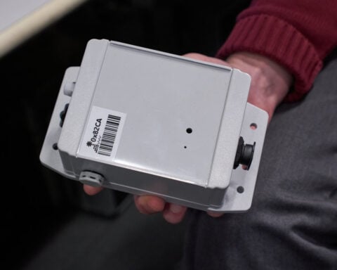 How a retired cranberry bog helped change the game for wetland restoration