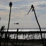 Bahamas police arrest Michigan man after wife vanishes at sea