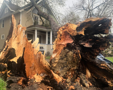 Thunderstorms rip across Michigan damaging 2 ice arenas, other structures