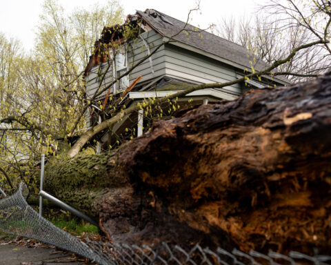 Nature puts heat on blast as scorching temperatures take aim at eastern US
