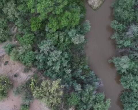 Arizona town facing water issues as city implements severe restrictions