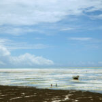 Tanzania investigates death of American social media influencer