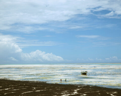 Tanzania investigates death of American social media influencer