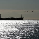 The new Trump trades: how investors are navigating Iran shocks 