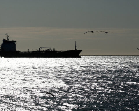 The new Trump trades: how investors are navigating Iran shocks 