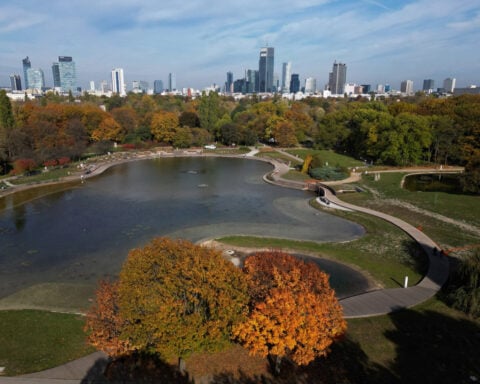 Developing countries in Europe, Central Asia face slowdown, World Bank says