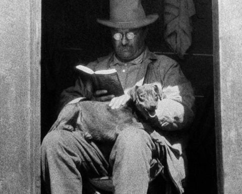 A raggedy toy to a treasured symbol of childhood: The teddy bear