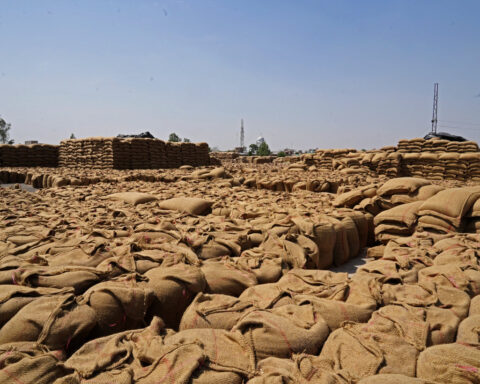 World food price rise set to continue if Iran war lasts, FAO says