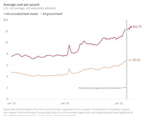 Could more cattle cause record beef prices to drop? Ranchers say it's not that simple