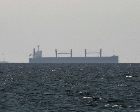 Zelenskiy offers Ukraine's maritime expertise with Strait of Hormuz