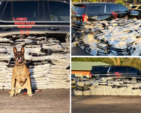 Largo man arrested with more than 2,000 pounds of marijuana in camper: FHP