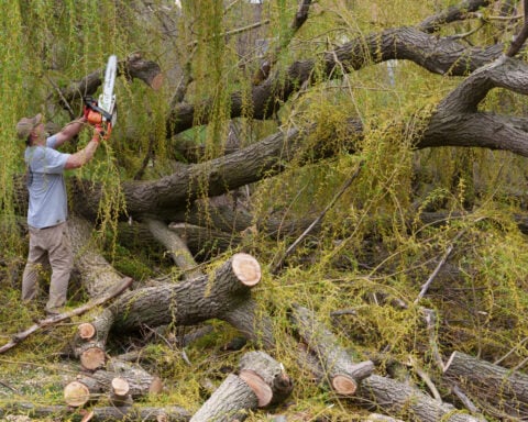 Severe storms continue to produce heavy rain, lightning and flooding across parts of US