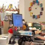 Students swap screens for stories. Dallas ISD book checkouts soar amid state's first cellphone ban for public schools